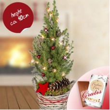 Weihnachtsbaum-Weihnachtspaket mit Weihnachtslichtern und Merci-Schokolade