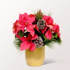 Rosa Weihnachtsstern mit 2 Ferrero Rocher
