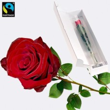 Rote FAIRTRADE stieg
