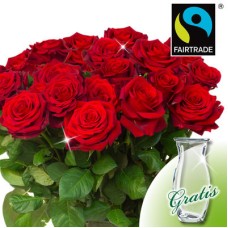 Acqua Di Gioia Parfüm 3,4 Unzen Eau De Toilette Spray