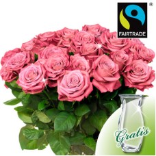 20 rosa FAIRTRADE Rosen im Bund mit Vase