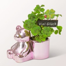 Bärischer Neujahrsgruß