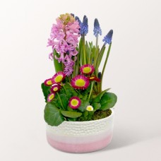 Frühlingsfarben im Topf