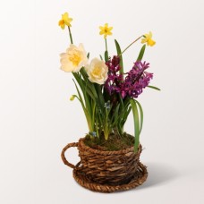 Frühlingsflirt im Becherkorb