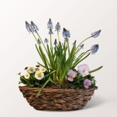 Frühling im geflochtenen Korb