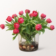 Frühlingsfrische im Glas (15 Tulpen)