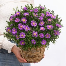 Roter Kranz (Durchmesser 30 cm) mit 2 Ferrero Rocher