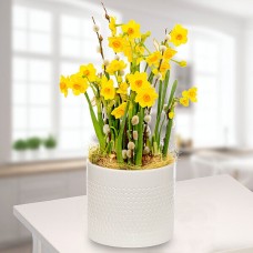Blumenschmuck Narzissen-Traum