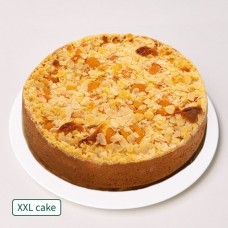 Großer Aprikosenkuchen