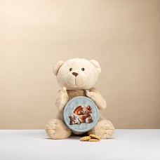 Weicher Teddybär mit dänischen Keksen
