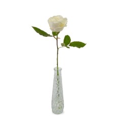 Premium-Weißrose + kostenlose Vase
