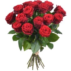 24 rote Rosen