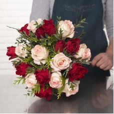 Winterrosen