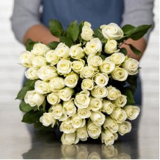 Pure White (30 roses)