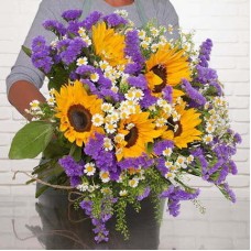 Wiesenblumen