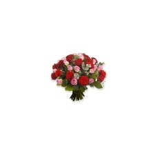 Ideale Rosen (klein)