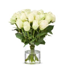 Weiße Rosen (klein)