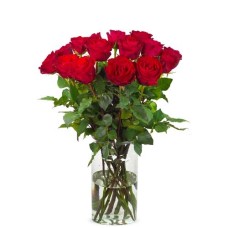 15 rote Rosen