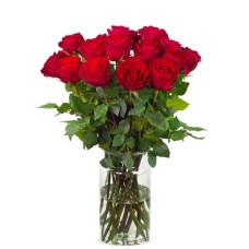 20 rote Rosen