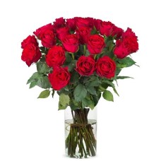 30 rote Rosen (50 cm)