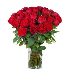 40 rote Rosen