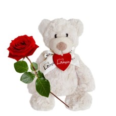 Eine rote Rose mit Teddybär