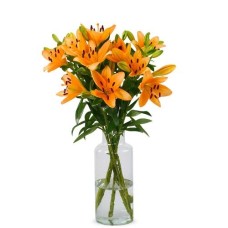 Lilien - Orangefarbene Lilien (klein)