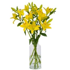 Lilien - Gelbe Lilien (klein)