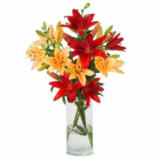 Lilien - Warme Mischung (Klein)