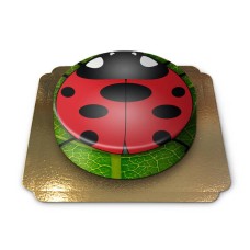 Ladybug / Ladybug cake (Small (18 cm(6 servings)))