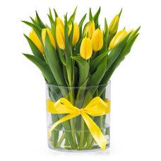Gelbe Tulpen