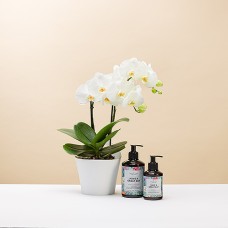 Orchidee und das Geschenketikett – Geschenkset „Have a Great Day“.