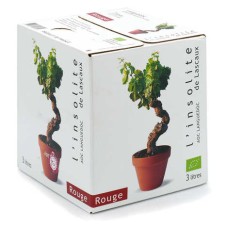 L'Insolite de Lascaux - Bio-Rotwein AOC du Languedoc Bib 3L