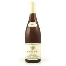 Burgunder Pinot Noir - 12,5%