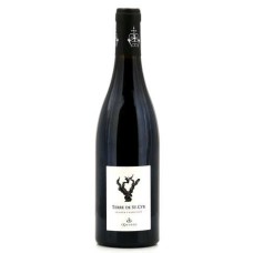 Terre de St Cyr Saumur Champigny AOC – Rotwein ohne Zusatz von Sulfiten