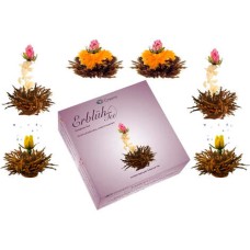 Schwarze Teeblüten