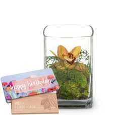 Exotisch mit Munz Tafelschokolade «Happy Birthday»