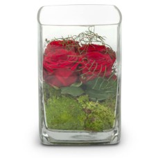 Rosen 4 Sie