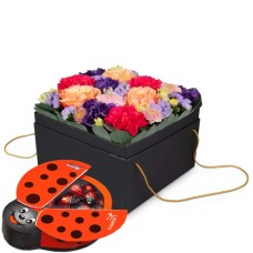Flowerbox «Amsterdam» (20 cm) mit Schoko-Marienkäfer