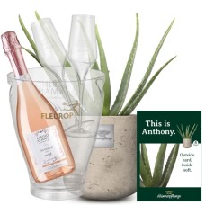 Das ist Anthony (Aloe Vera) mit Prosecco Rosé Albino Armani DOC (75 cl), inkl. Eiskühler und zwei Sektgläsern