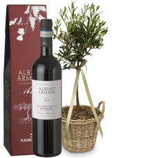 Sommertraum (Miniatur-Olivenbaum) mit Ripasso Albino Armani DOC (75 cl)