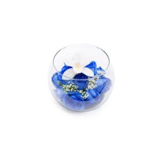 Flores Azules para traer paz - FAZ003