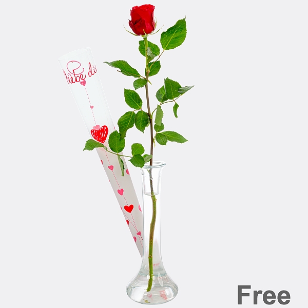 Rote langstielige Rose in Geschenkbox mit Vase