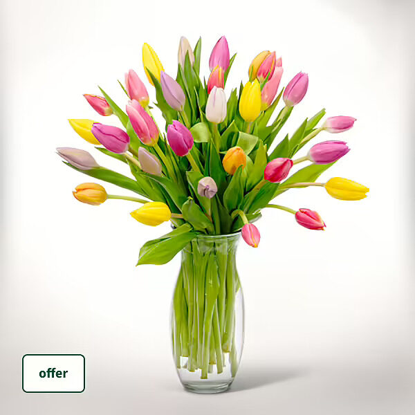 Tulpen im Bund - 30