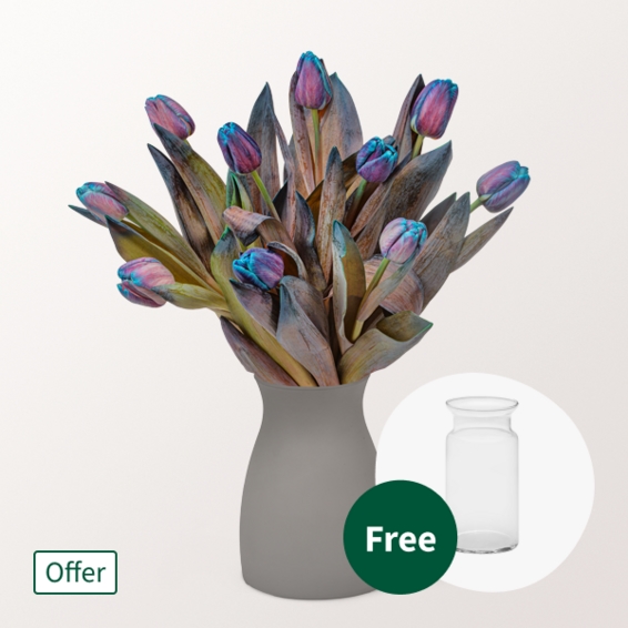 Außergewöhnliche blau-lila Tulpen im Strauß mit Vase (10 Tulpen)