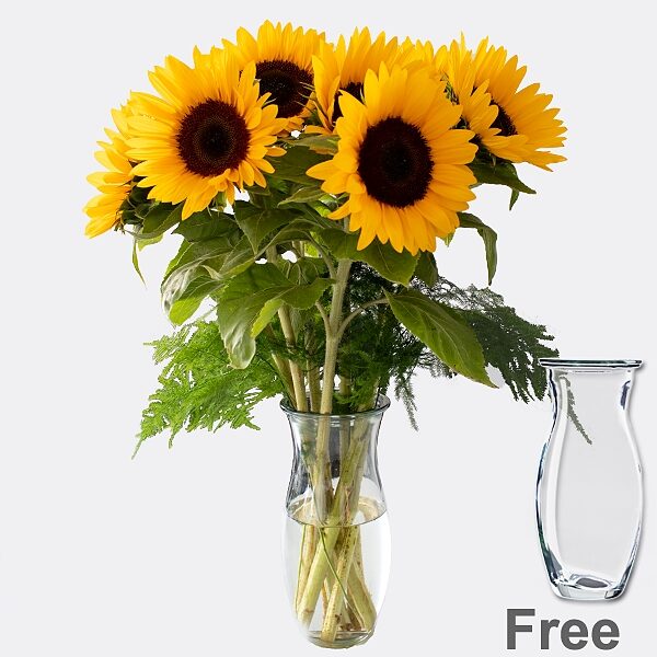 Strauß mit 7 Sonnenblumen mit Vase