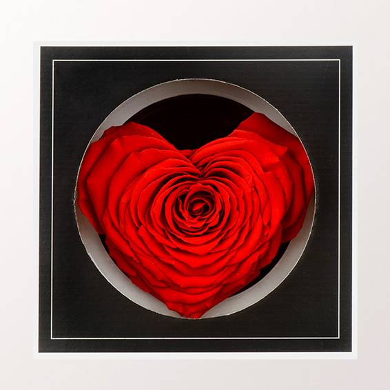 Ewige Rose in Herzform