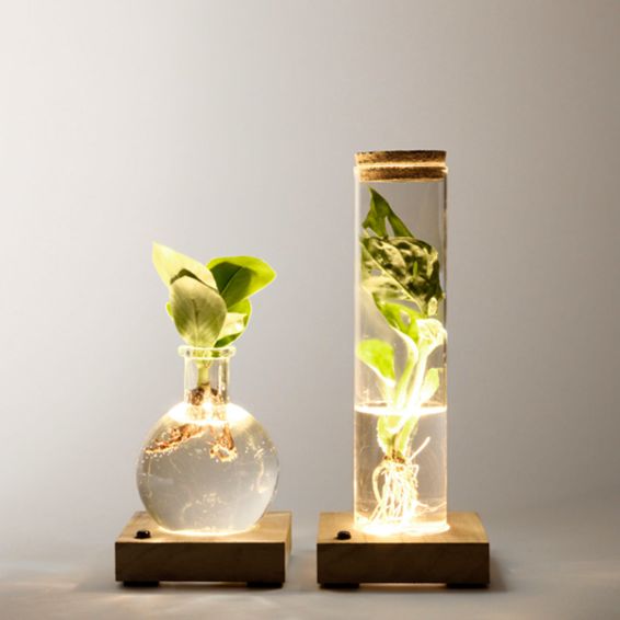 Set mit 2 Wasserpflanzen mit LED-Beleuchtung