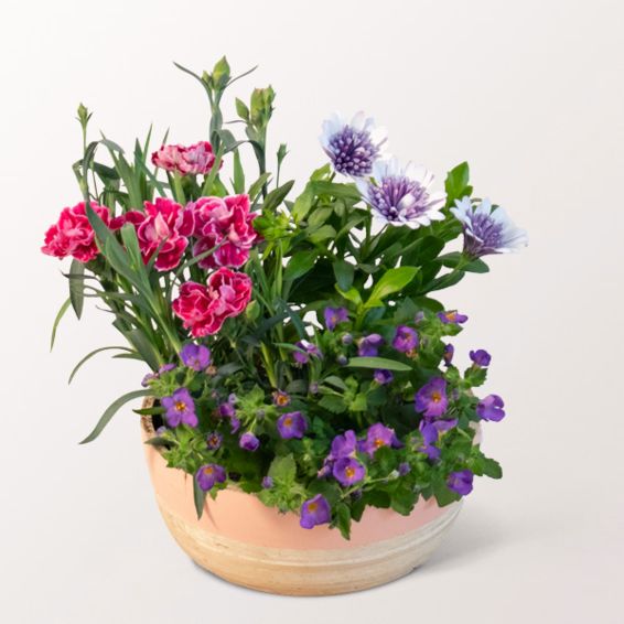 Basket BlÃ¼tenzauber