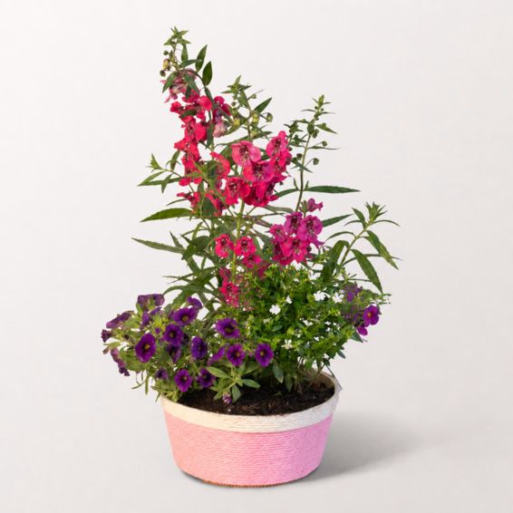Sommerlichter in einem Rosenkorb
